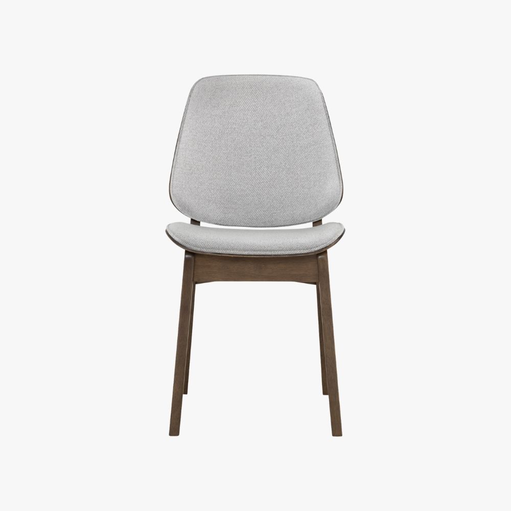 Erza Dining Chair (Set of 2)
