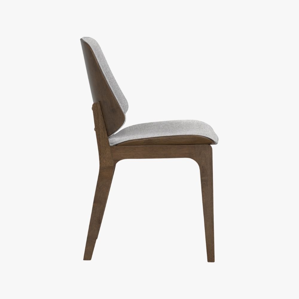 Erza Dining Chair (Set of 2)
