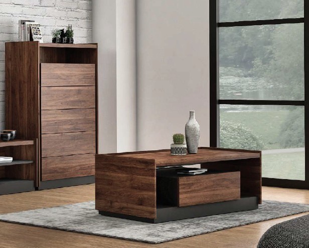 Deylla Coffee Table