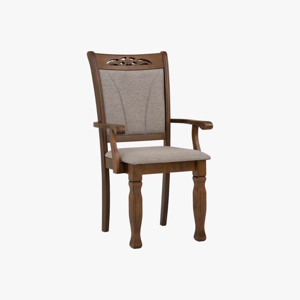 Tegus Dining Chair (Set of 2) (Copy)