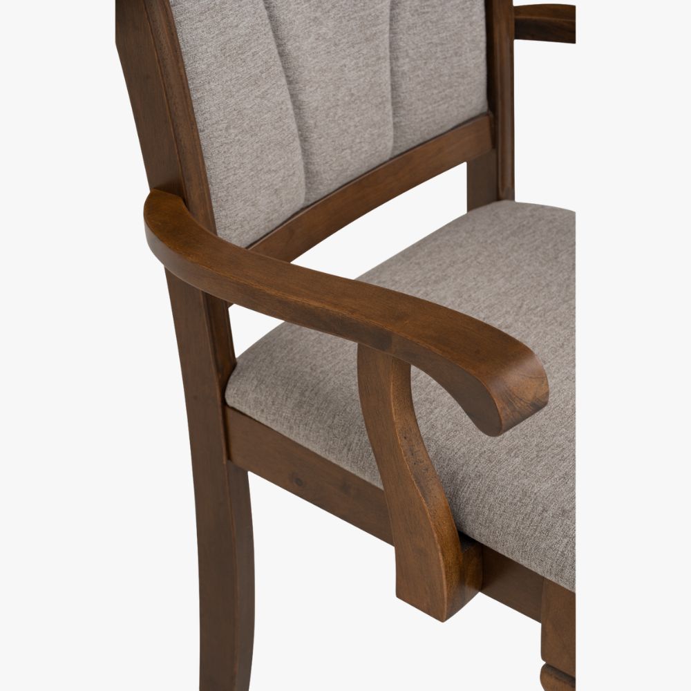Tegus Dining Chair (Set of 2) (Copy)