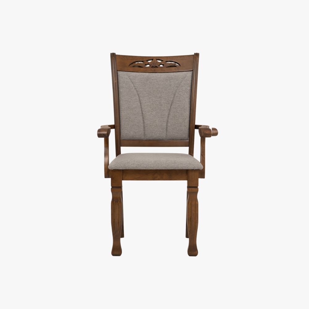 Tegus Dining Chair (Set of 2) (Copy)
