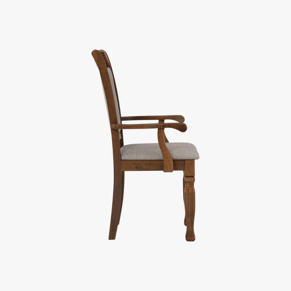 Tegus Dining Chair (Set of 2) (Copy)