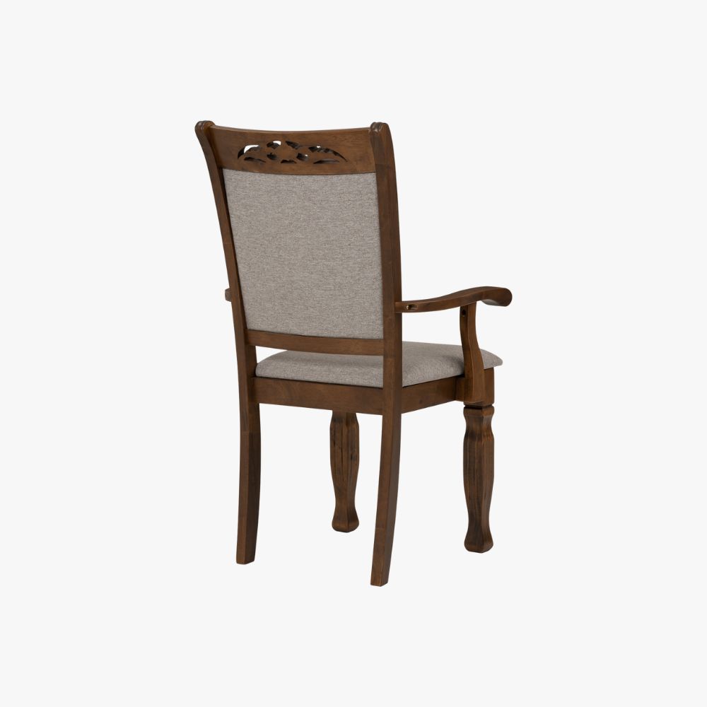 Tegus Dining Chair (Set of 2) (Copy)