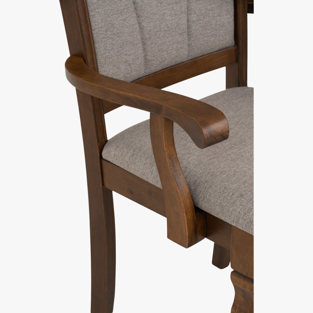 Tegus Dining Chair (Set of 2) (Copy)