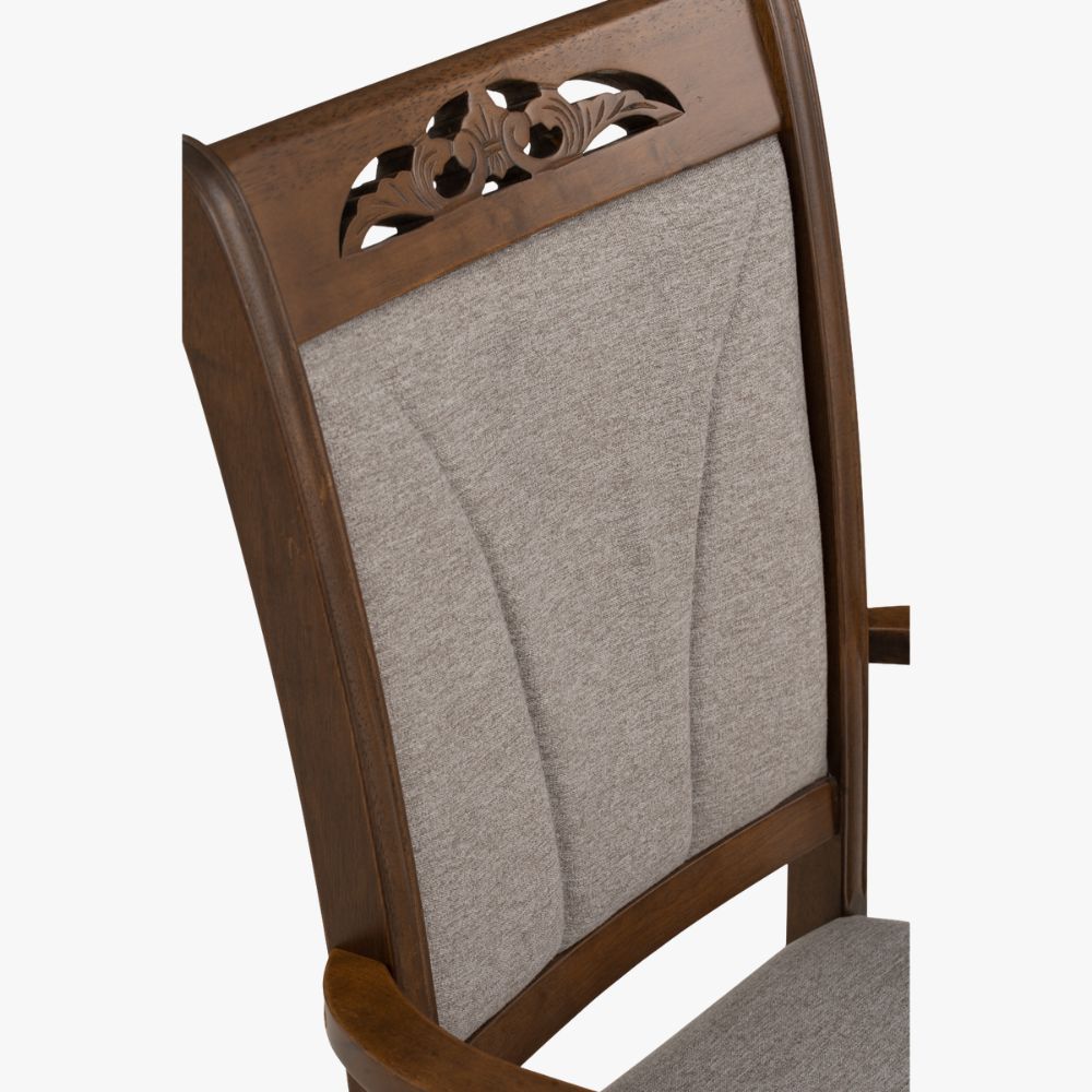 Tegus Dining Chair (Set of 2) (Copy)