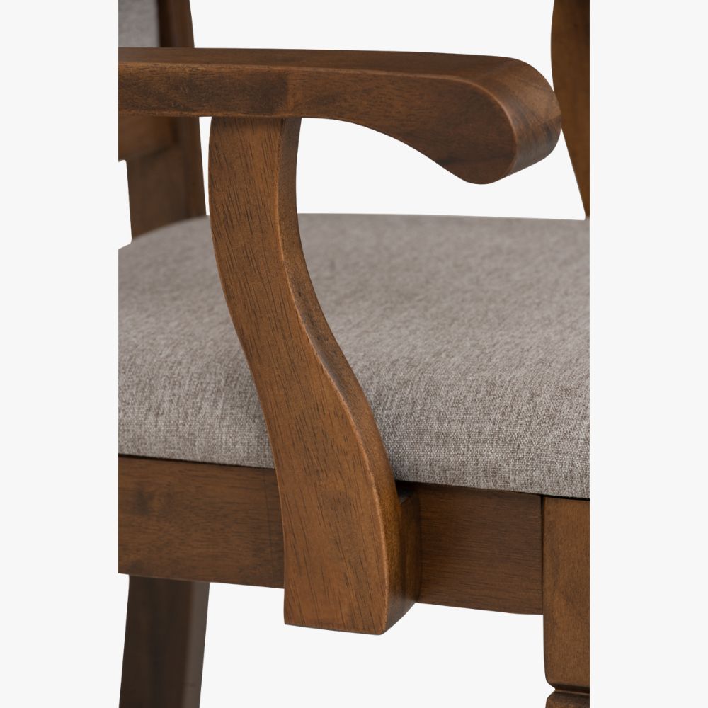 Tegus Dining Chair (Set of 2) (Copy)