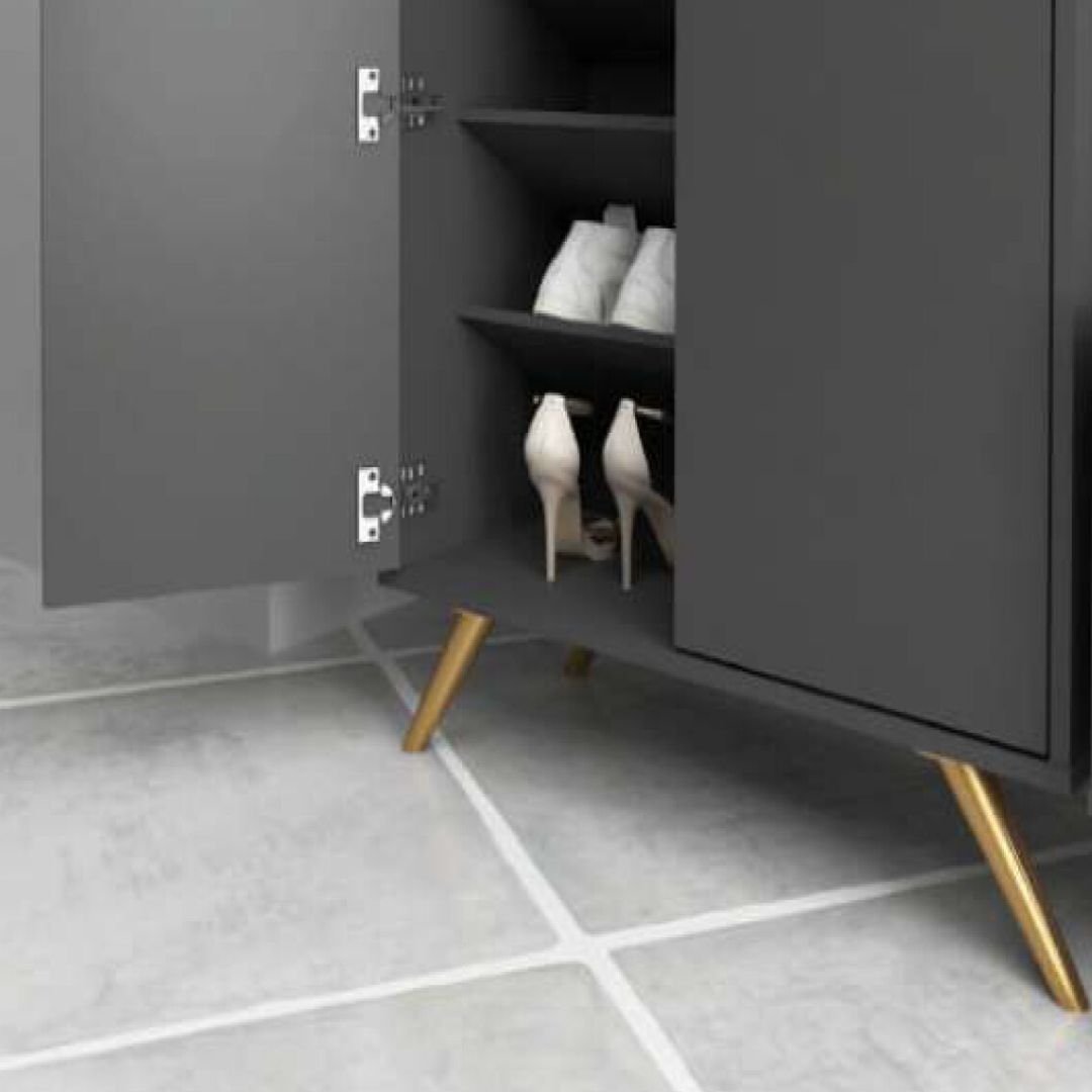 LV19 Shoe Cabinet