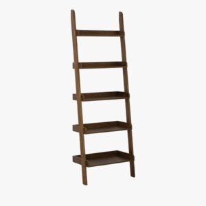 Tilt Leaning Bookcase
